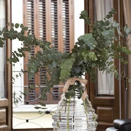 Casa De La Catedral * Granada