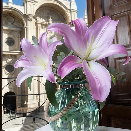 Apartment Casa De La Catedral